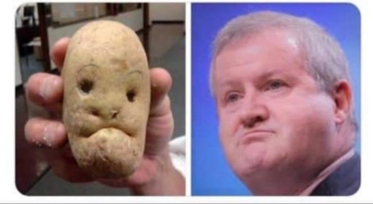 SNP lookalikes.