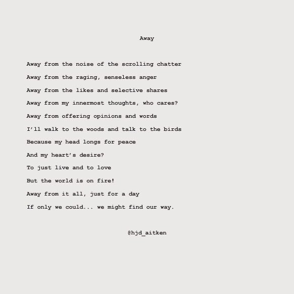 hjd_aitken's tweet photo. Oh, the irony of tweeting a poem about escaping from my timeline... but perhaps you can relate? I’m sure I’m not alone in feeling overwhelmed by social media sometimes.
https://t.co/hM7eXOxOyD
#pandemicpoems #MindfulMonday #BlueMonday #lockdown #writinghelps #breathe https://t.co/NdtvPj6OCg