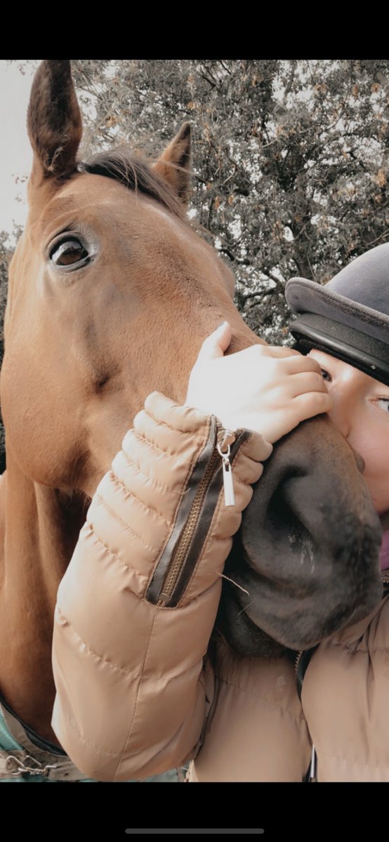 Ettyhol's tweet photo. Lost part of me today, my happiest place and my horse of a lifetime. 💔🦄 #heartbroken https://t.co/KVBBtFWRwE