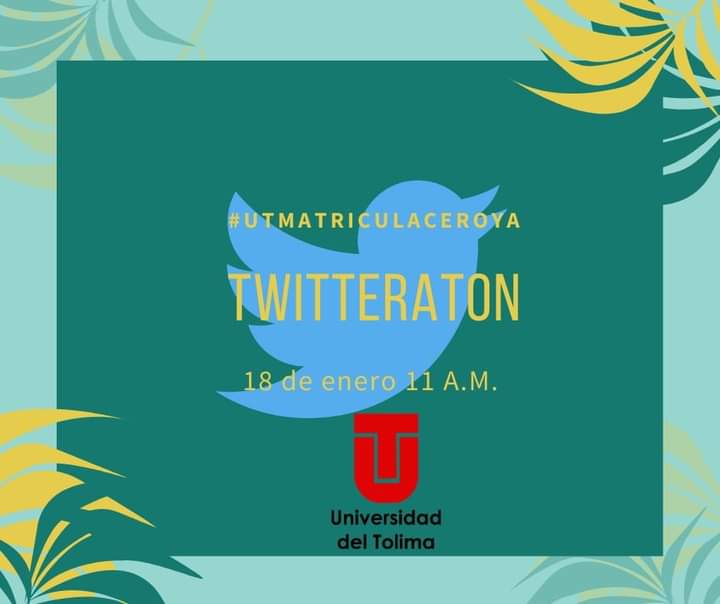 leidyamor9's tweet photo. #UTmatriculaceroya
Los estudiantes de modalidad a distancia 
@Uni_Tolima
 Solicitamos #UTmatriculaceroya Merecemos igualdad #todossomosUT 
@Ricardo_Orozv
 
@Mineducacion

@VictoriaBxE
 
@gobertolima
 
@IvanDuque
 
@Uni_Tolima

@omarmeji https://t.co/PP87grR4GB