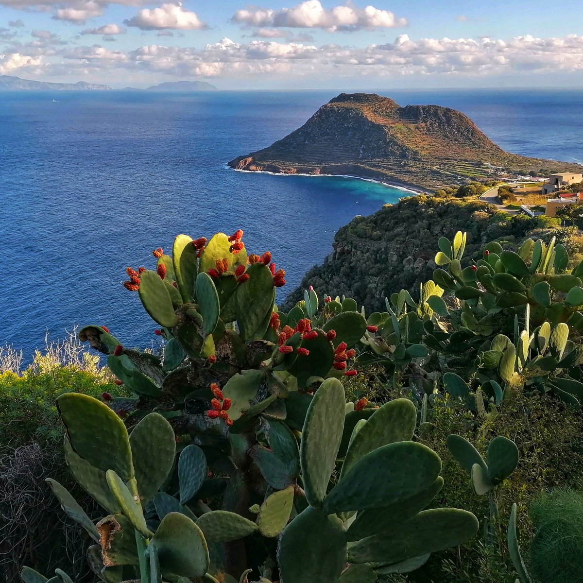 Colour therapy. 

🌍 Filicudi - Isole Eolie
📷 by @trailsofsicily
📅 January 2021
🇬🇧 trailsofsicily.com
🇵🇱 szlakamisycylii.pl 
#️⃣ #trailsofsicily
#️⃣ #szlakamisycylli
🔵 Facebook.com/trailsofsicily

#filicudi #eolie #isoleeolie #aeolian #aeolianislands #siciliamuri #sicily