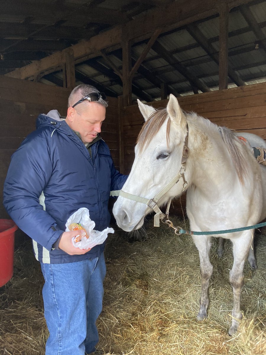 livipitch22's tweet photo. Went to see our broodmare White Candy (Candy Ride- Legally Blanca) in foal to Winchill (Tapit- Exclusive Hold). Our beautiful gray is turning white with her winter coat! She loves her carrots! #pabred #bredtorun @ThePewterStable @PA_PHBA @PTHA17 https://t.co/fnkg3pjhjW
