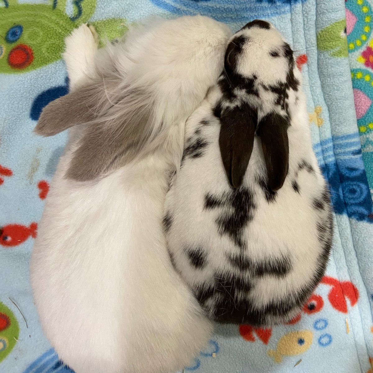 Well this just makes me the happiest. 🥰