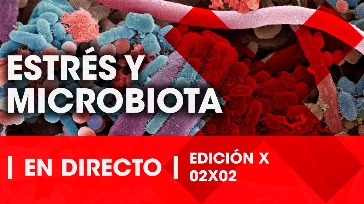 LRsecreta's tweet photo. ¡ESTRÉS Y MICROBIOTA! -> EN DIRECTO AHORA MISMO -> SIN ANESTESIA -> https://t.co/0W7LJCcVtq

#LaReunionSecreta https://t.co/vUrCiKaPPI