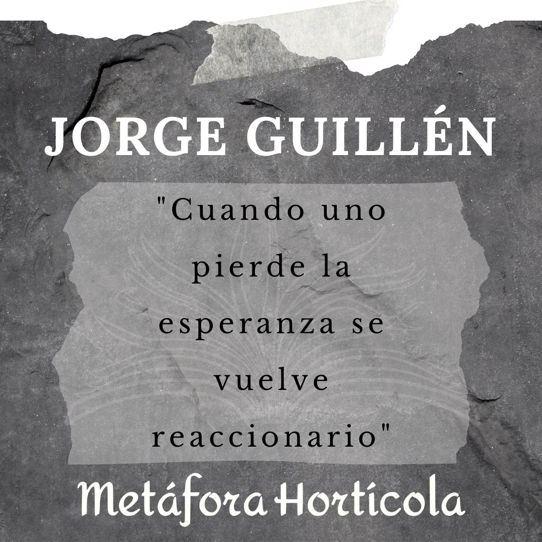 #MetáforaHortícola #clubdelectura #libros #lectura  #JorgeGuillén #Cántico #AireNuestro #Sesionesonline  #Online #inscríbete