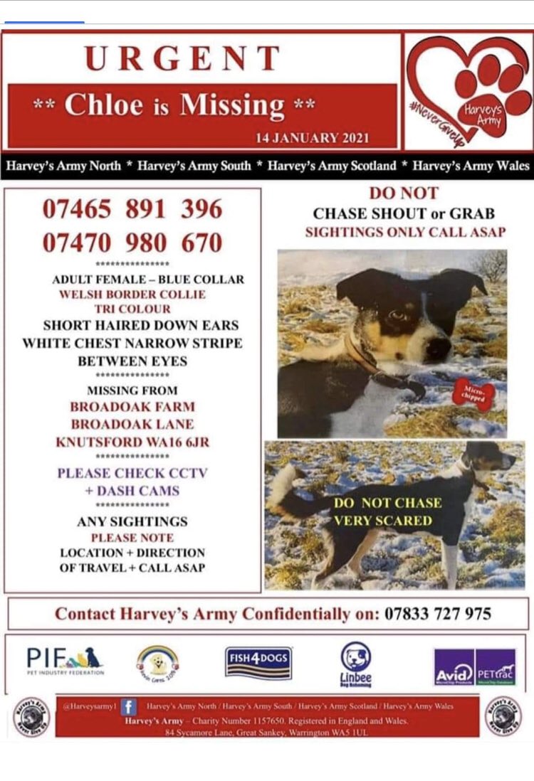 DogCapture's tweet image. Please share we need sightings