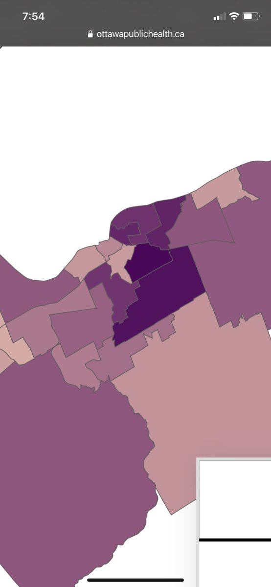 Good evening and welcome to the Purple Program. An investigation into why our society is being constantly blanketed and bombarded with purple this year. Mute or unfollow now if you want to keep you head in the sand. Frankly, I’m sick of it. Let’s get started. 