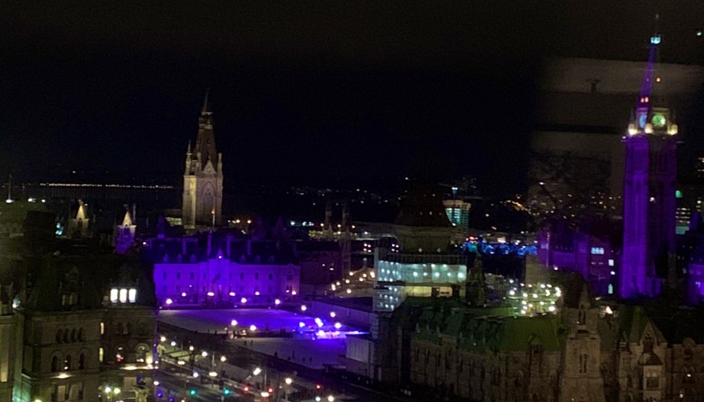 Good evening and welcome to the Purple Program. An investigation into why our society is being constantly blanketed and bombarded with purple this year. Mute or unfollow now if you want to keep you head in the sand. Frankly, I’m sick of it. Let’s get started. 