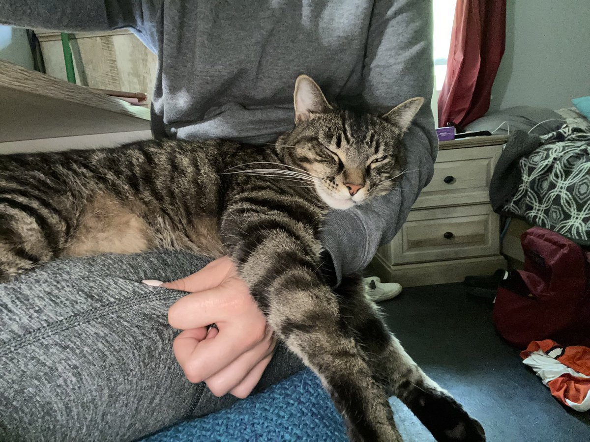 brriibrown's tweet image. My best friend is back in the ER tonight having seizures and I miss him so so so much.. so here’s a few pictures because I can.