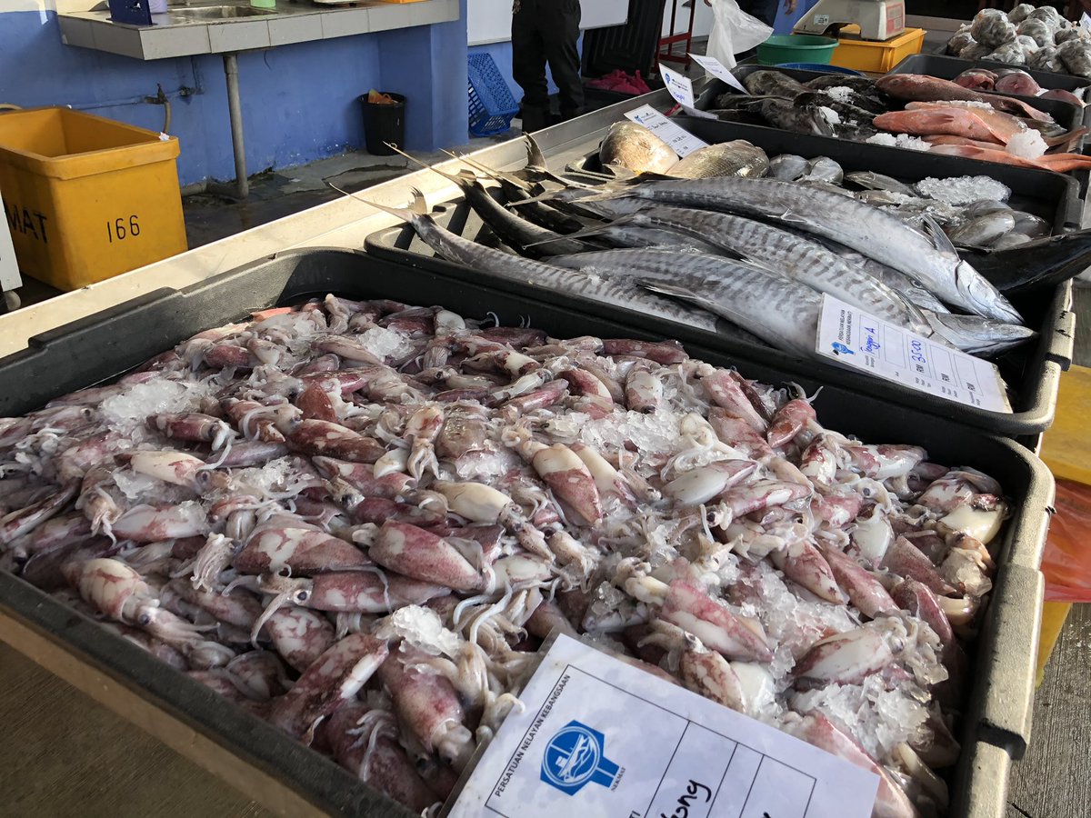 FauziSuhaimi's tweet photo. Lagi gambar yang sempat saya jala dan pancing.. ๐ Menariknya, harga murah dan ikan sangatlah segar. Dibawa khas dari Kompleks Pendaratab Ikan LKIM Kuala Perlis terus ke sini. @501Awani
#Nekmat #AWANINews #AWANITerkini #IkanSegar #PKP #HapusCOVID19 https://t.co/xCzNZhUcEa
