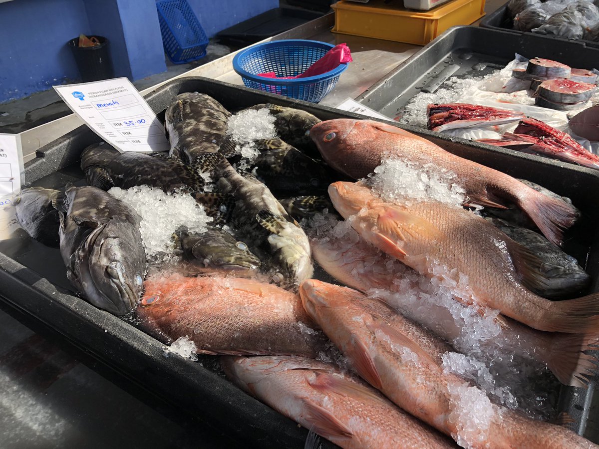 FauziSuhaimi's tweet photo. Lagi gambar yang sempat saya jala dan pancing.. ๐ Menariknya, harga murah dan ikan sangatlah segar. Dibawa khas dari Kompleks Pendaratab Ikan LKIM Kuala Perlis terus ke sini. @501Awani
#Nekmat #AWANINews #AWANITerkini #IkanSegar #PKP #HapusCOVID19 https://t.co/xCzNZhUcEa