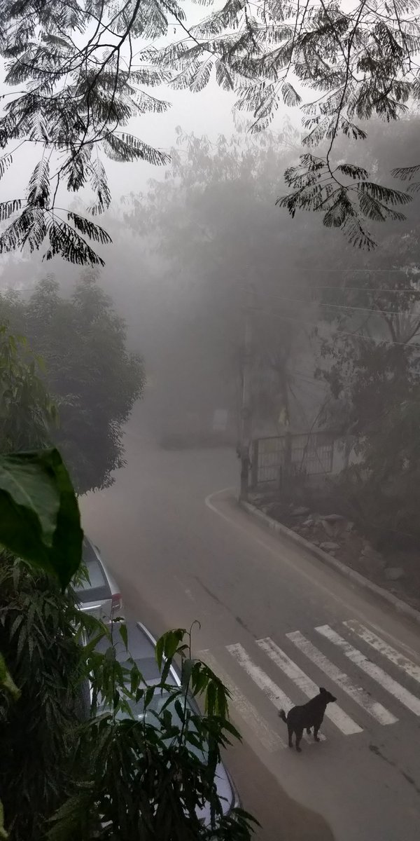 Winter morning.
Don't let fog obscure your vision!
Have a clear perspective and a great day!

#goodmorning #winter2021 #newday