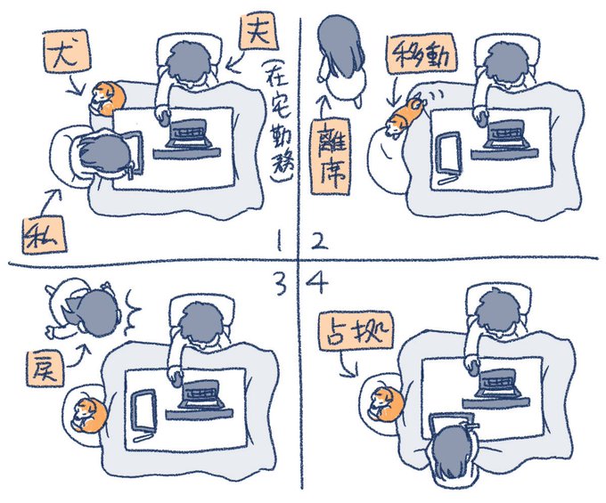 よくあるやつ。
夫の座椅子もターゲット。 