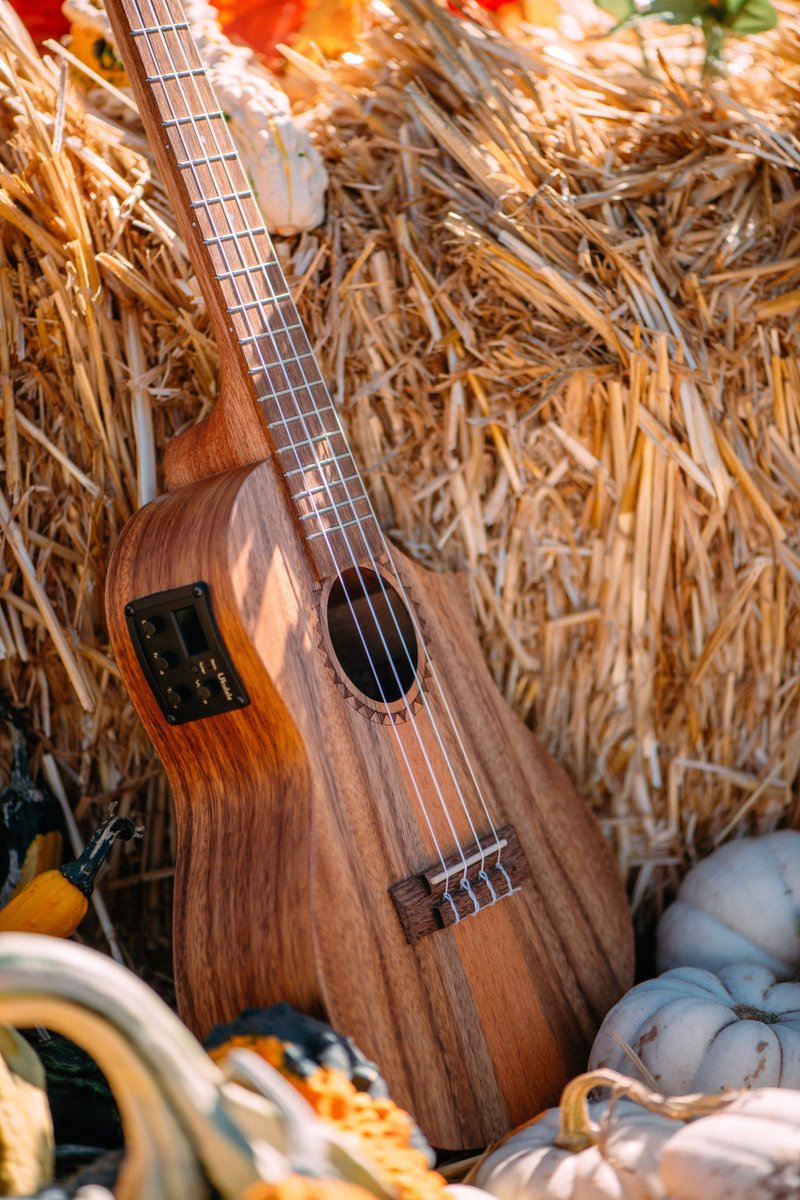 kalabrandmusic's tweet image. Previewed just before the Holidays, our Teak Tri Top series is a stage-ready ukulele model w/ EQ with so many of our favorite ukulele features at an accessible price: a vibrant wood finish, a Florentine cutaway, and fantastic tonal clarity. @NAMMShow 

 kalabrand.com/new