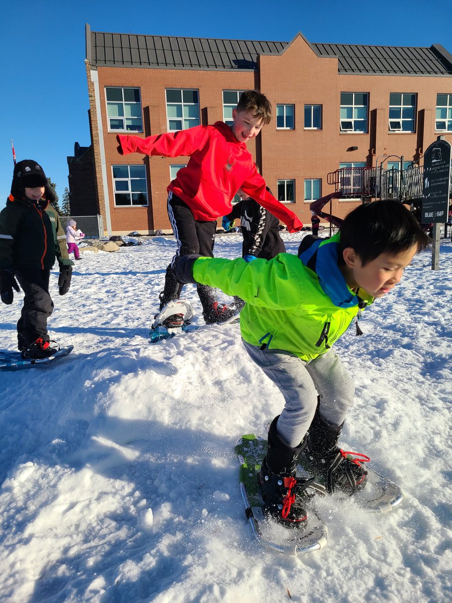 12ElbowPark's tweet photo. We have been lucky to have the mild weather so we made the most of it. @ElbowParkSchool https://t.co/5irMgDfea5