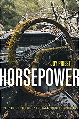Shiny Pokémon as Poetry Book Covers4. Shiny Galarian Rapidash as  @Dalai_Mama_'s Horsepower (University of Pittsburgh Press, 2020)