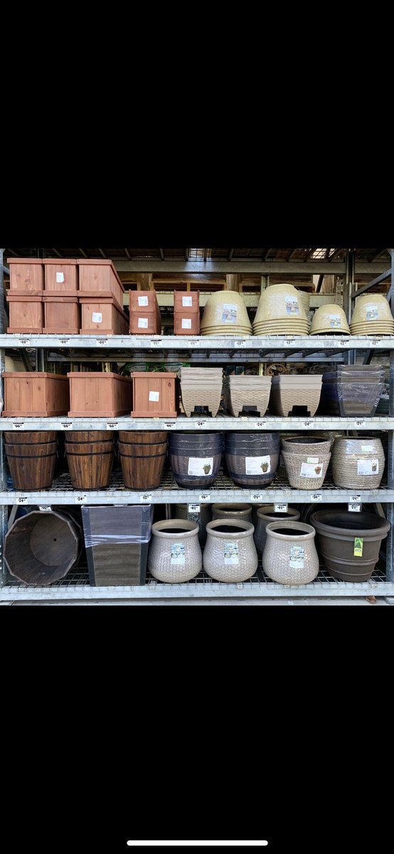 Angelina Munoz tweet media