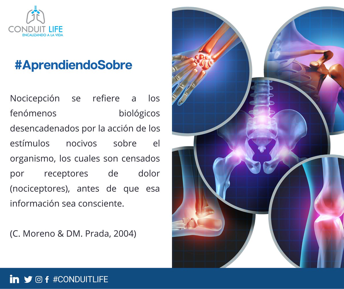 conduit_life's tweet photo. #AprendiendoSobre 
📍Nuestra especialidad de nocicepción.
🧠La percepción del #dolor, conocida como #nocicepción, es fundamental para la supervivencia del ser humano. La #nocicepción es una herramienta de supervivencia fundamental para los organismos complejos.  
#Dolor #UnDato https://t.co/NAUTuALPOZ