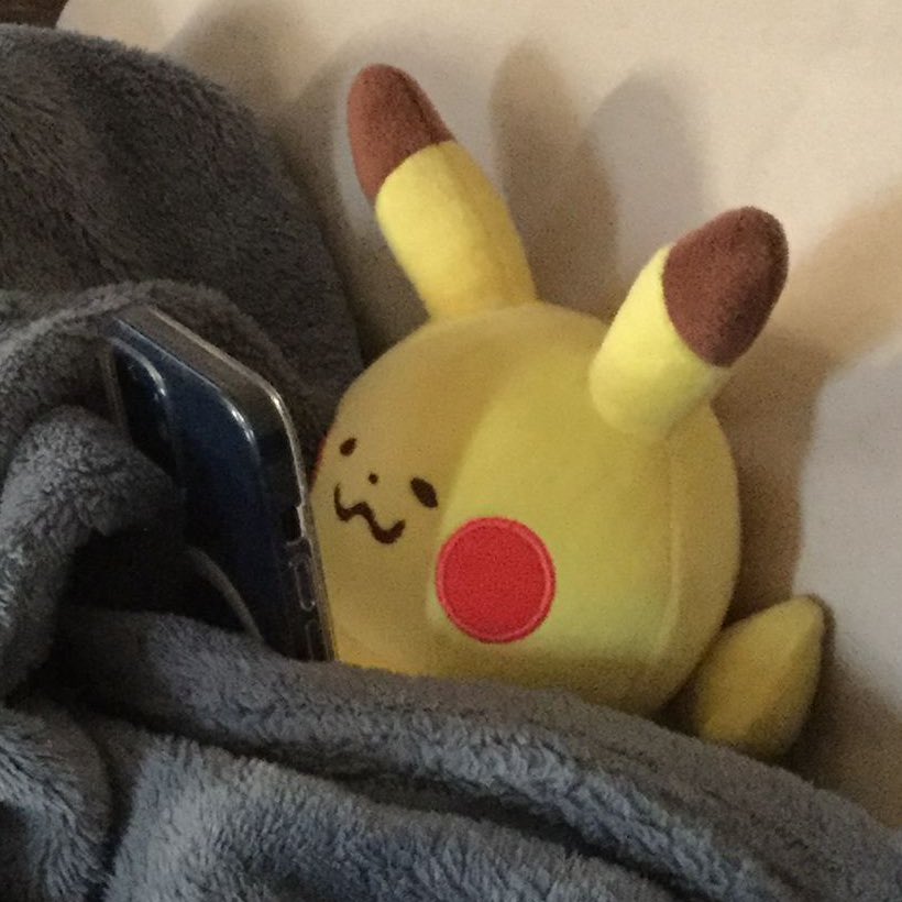 pikachu stole my credit card and called me a bitch tweet media