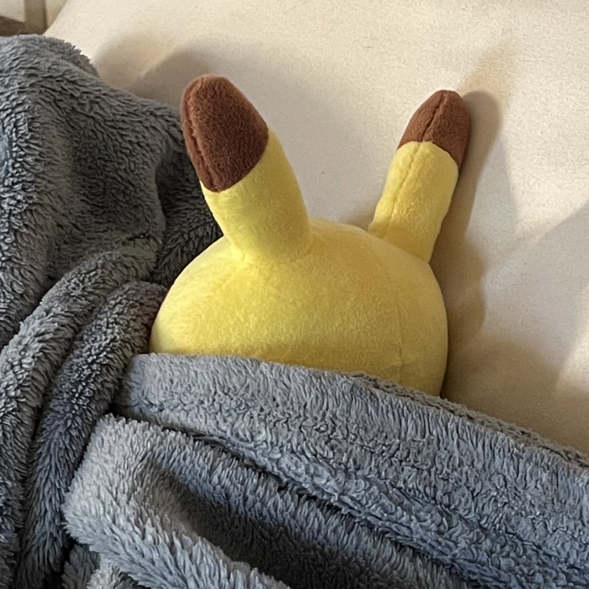 pikachu stole my credit card and called me a bitch tweet media
