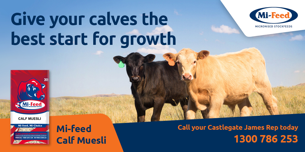 KICK START YOUR CALVES THIS SEASON. #highprotein #highenergy CALL 1300786253 today. #Beef #Calving 
Ready to talk deals on 20kg, 1Tonne bulk bags and bulk trucks.