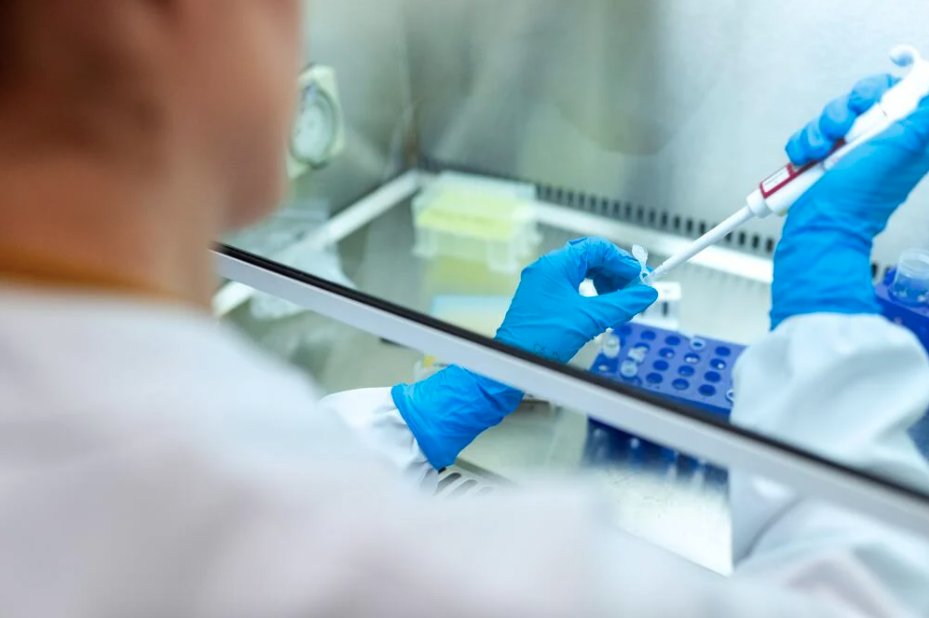 MarcaChile's tweet photo. Chile sigue creando futuro en la ciencia! 🔬 Start-up chilena 🇨🇱 creó un test que evita las cirugías de diagnóstico innecesarias para los casos de cáncer a la tiroides! Lee más aquí: https://t.co/ohBzVDoNs0
#ChileCreatingFuture https://t.co/HaLJ82OUap