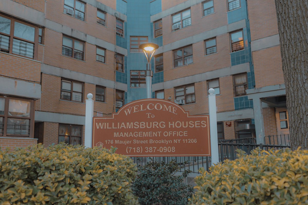 snapsoflomax's tweet photo. #PROJECTYOURSELF [WILLIAMSBURG HOUSES - WILLIAMSBURG, BK] #snapsoflomax https://t.co/SmNfxzW1jI