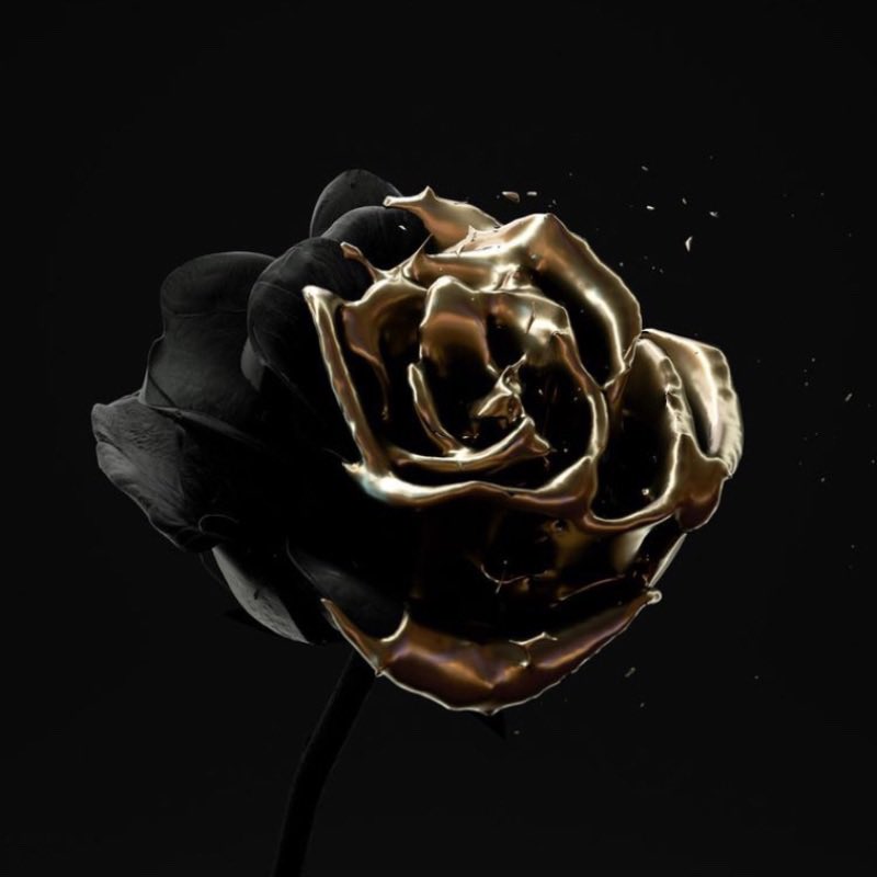 TarnishMeNot's tweet photo. Petal* to the metal ⚡️ https://t.co/dlPj4PEvsb