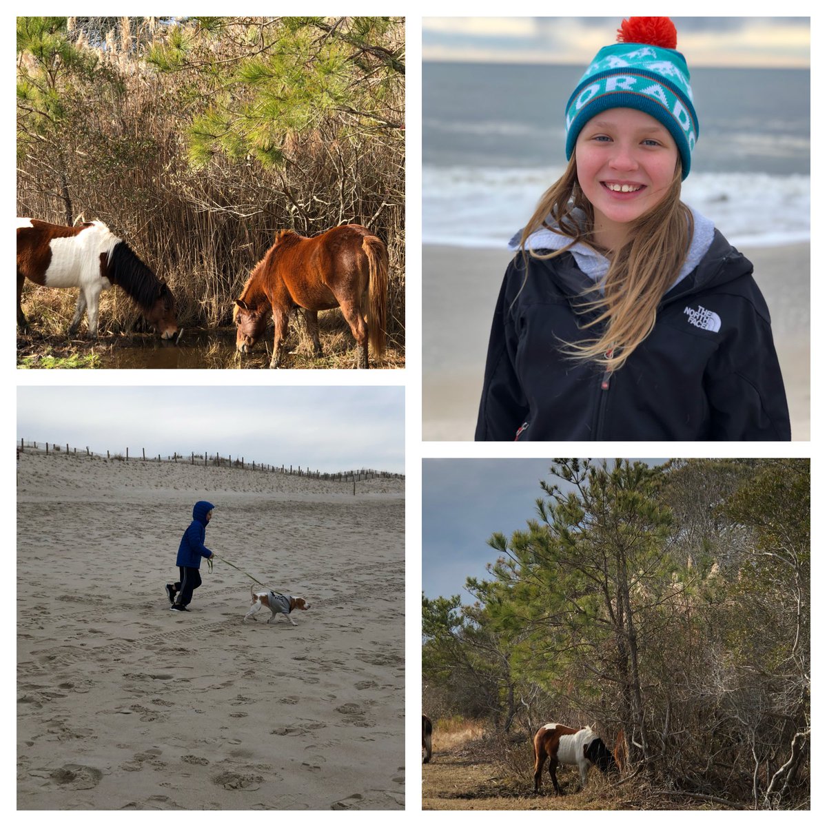 @AssateagueNPS We enjoyed a wonderful day visiting the ponies! @briankropp