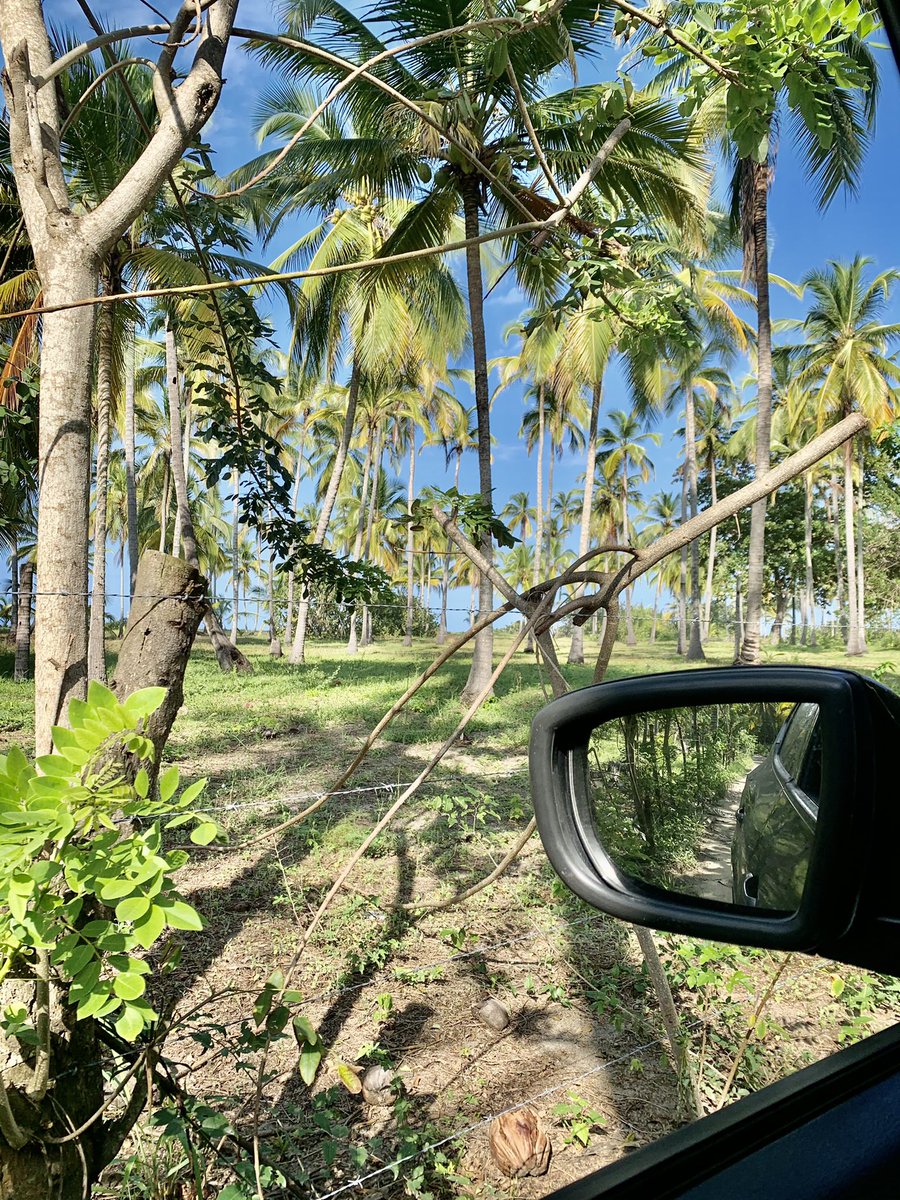 JTheran19's tweet photo. Road trip 🍃 https://t.co/mU7Ljue7IG