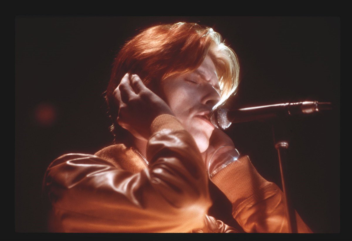 bowie archive tweet media