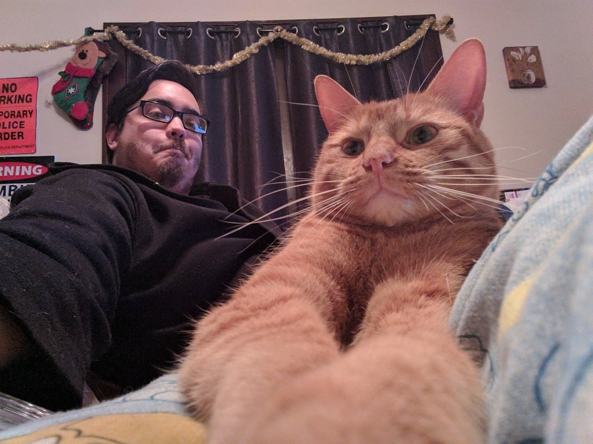 ClassyPanda77's tweet photo. @missanthemum Mine does this toozbut I'm apparently bad at taking pictures when it happens. This is the best one I have. https://t.co/lsIy6svCKd