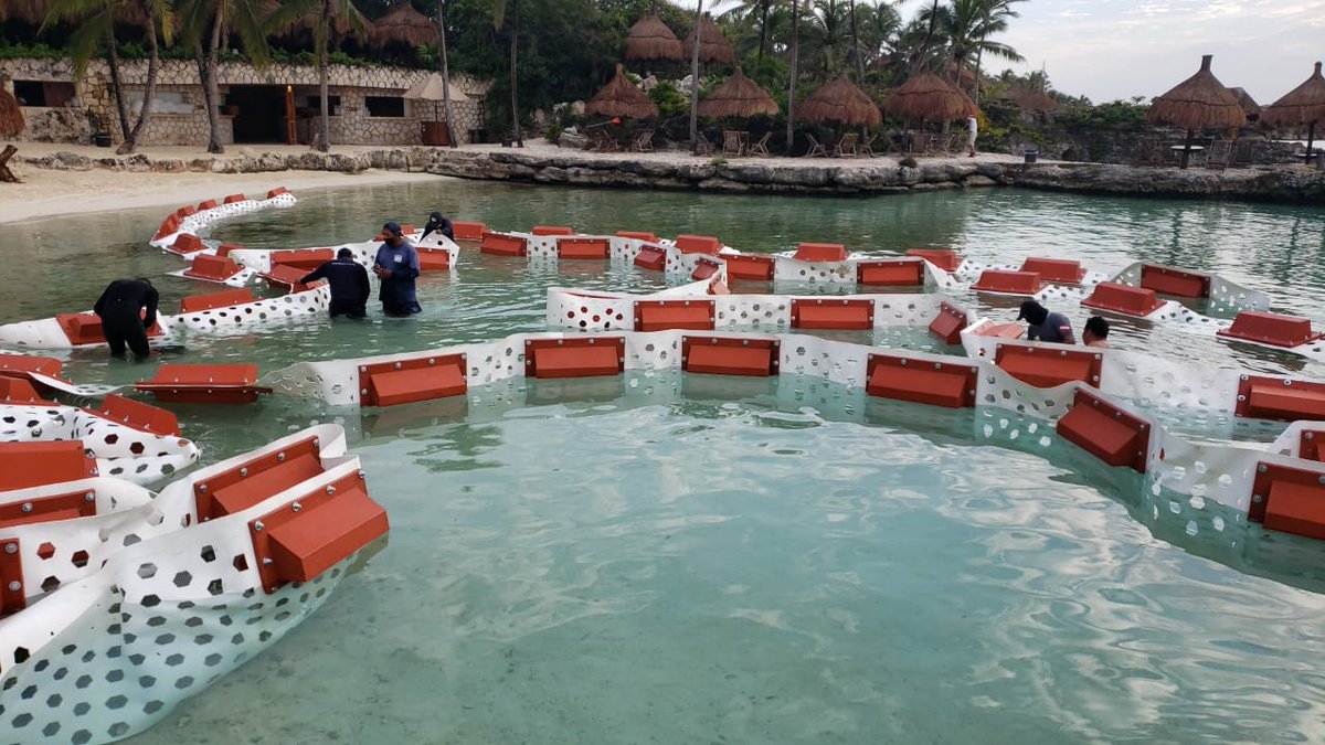 SargazoM's tweet photo. Trabajando simultáneamente en dos proyectos igual de importantes el día de Hoy
@Dakatsochacorta
@DakatsoGrupo
@arqjauregui
Retención de sargazo en @XcaretPark
Y retención de lirio en @YuririaGob
@guanajuato https://t.co/7cDKluaTyR