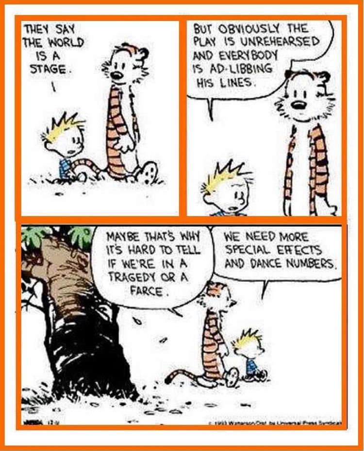 What do you think? #CalvinandHobbes