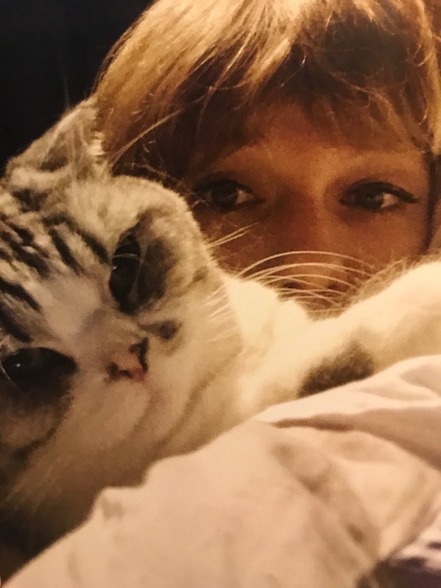 Taylor Swift being cute as hell, a thread 