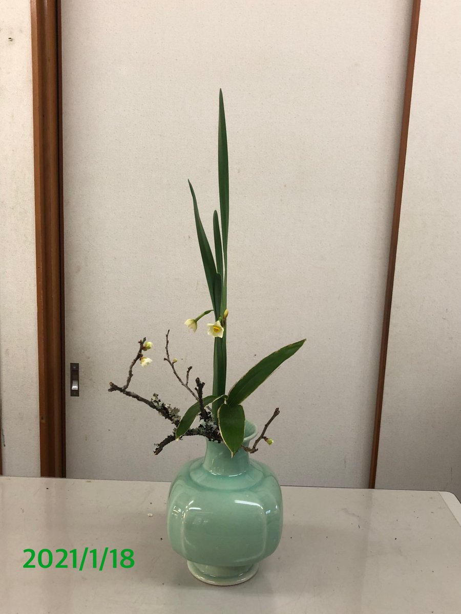 Kyo Run 昨日の稽古花 小品花 白梅 水仙 熊笹 豆青釉にいけました 先生に白梅を前傾してお手直しをして頂いて すっきり素敵な小品花になりました 稽古花 小品花 小原流