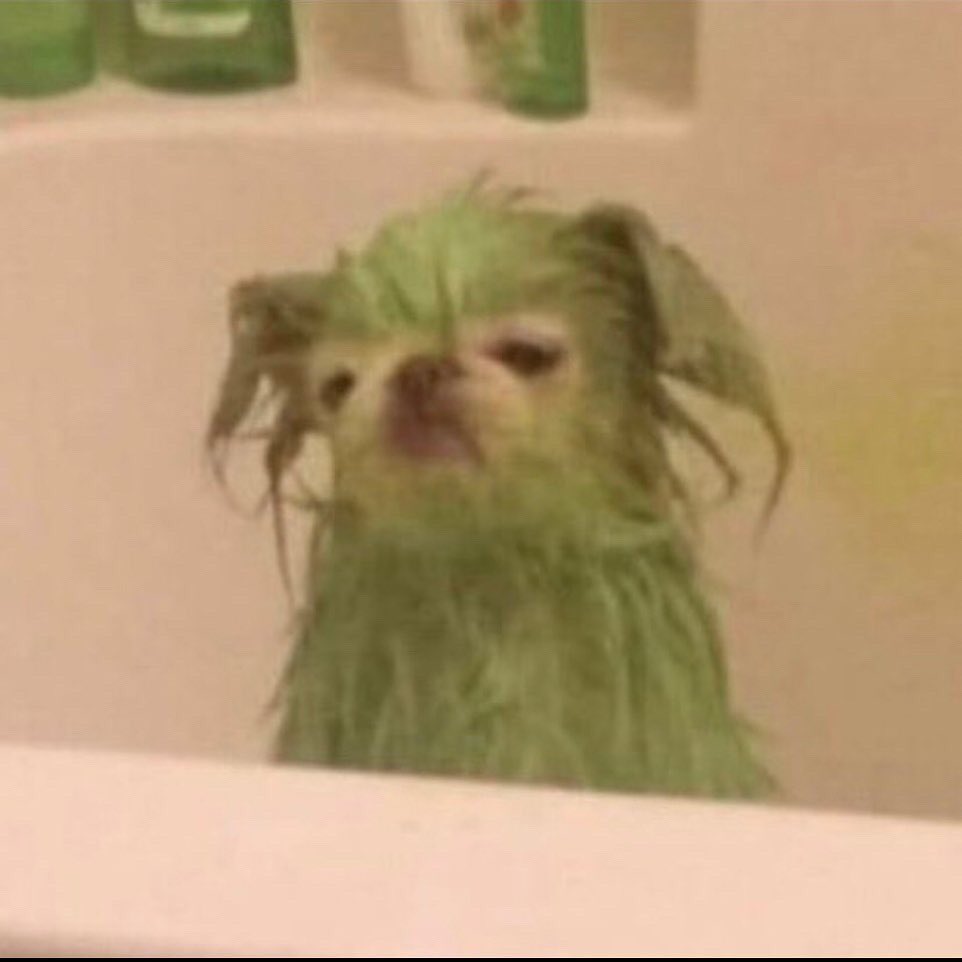 camren's tweet photo. if this isn’t a mood, I don’t know what is. https://t.co/YpFFBUz2bU