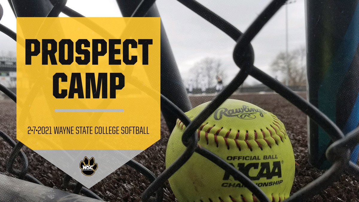Camp is quickly filling up!!! Don’t delay & secure your spot! Come learn from the Wildcat softball staff & players. #FutureCats 

wscsoftballcamps.com/high-school-pr…