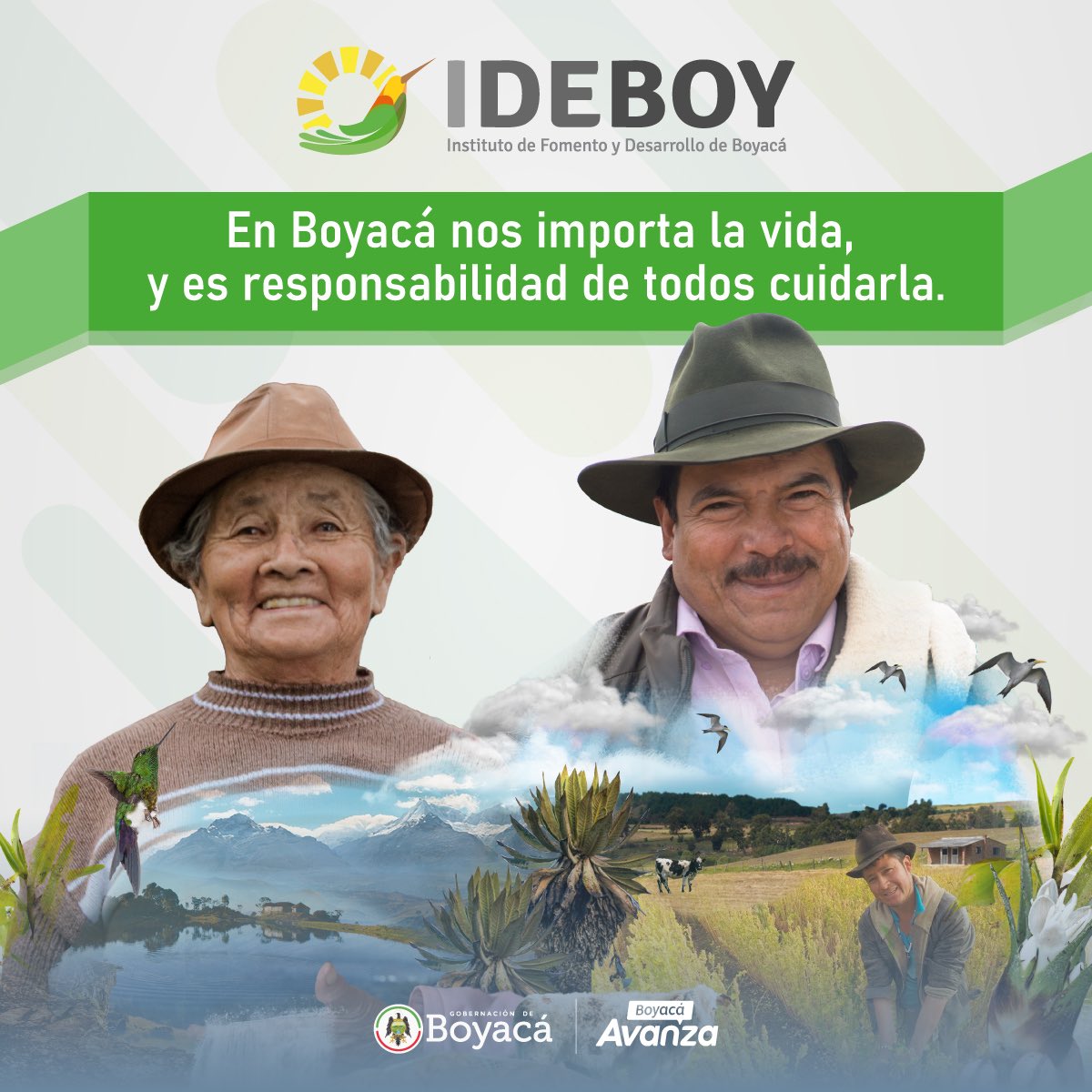 Ideboy tweet media