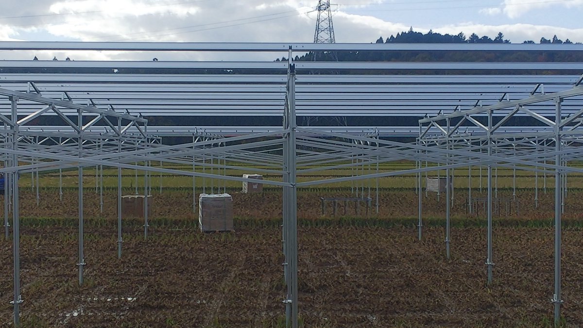 IENERGY_Lin's tweet image. Solar ground mounting system for agriculture. Type3#営農太陽光ソーラーシェアリング、タイプ3 低圧人気#solarpower #PVmount #solarmountingstructure #solargroundsystem #Chinesesolarmountfactory #solarracksupplier #solarrack #PVmountingsystem #renewableenergy #solarmountmanufacturer