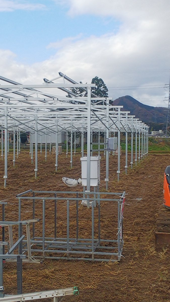 IENERGY_Lin's tweet image. Solar ground mounting system for agriculture. Type3#営農太陽光ソーラーシェアリング、タイプ3 低圧人気#solarpower #PVmount #solarmountingstructure #solargroundsystem #Chinesesolarmountfactory #solarracksupplier #solarrack #PVmountingsystem #renewableenergy #solarmountmanufacturer