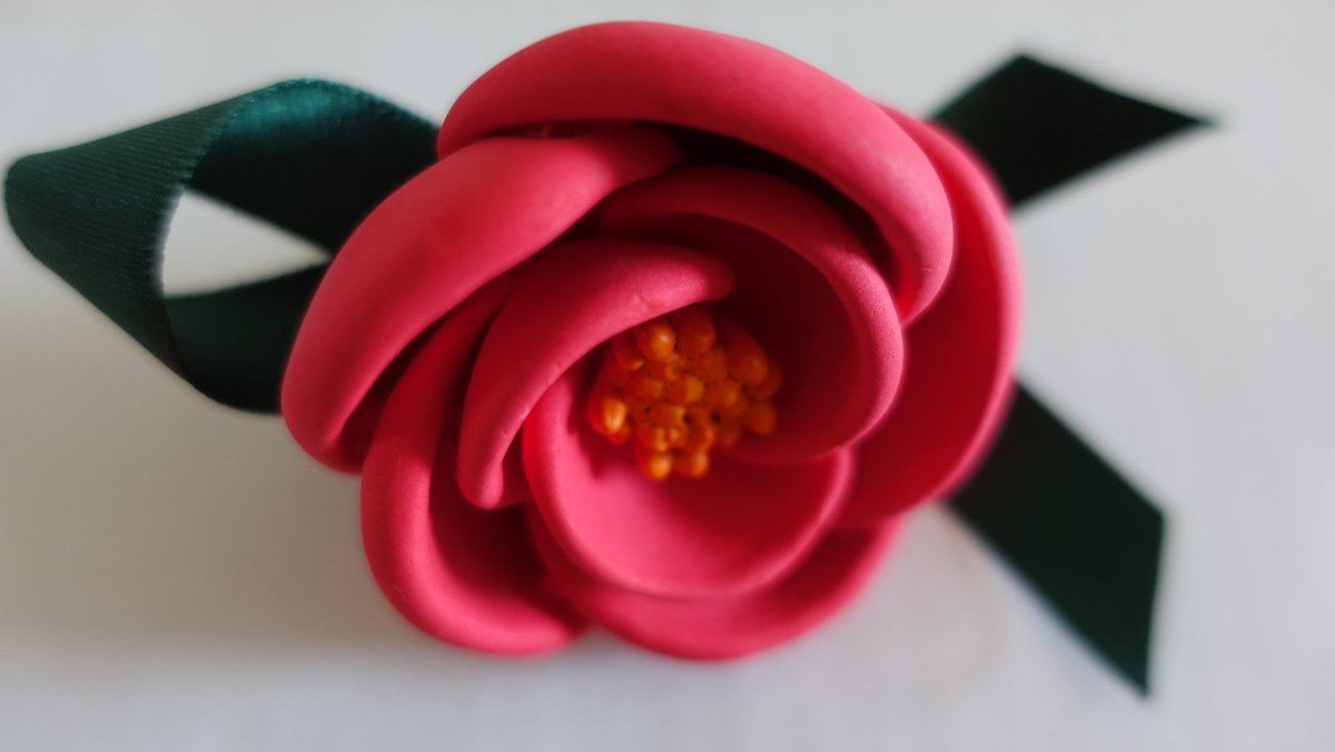 Sound 동백꽃 Camellia 椿 한국어 Learningkorean 韓国語勉強 花の名前