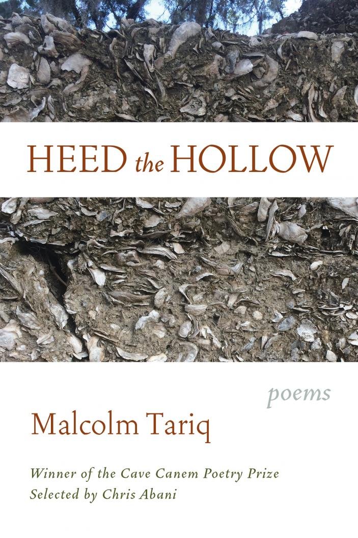 Shiny Pokémon as Poetry Book Covers22. Shiny Forretress as  @MalcolmTariq's Heed the Hollow (Graywolf Press, 2019)