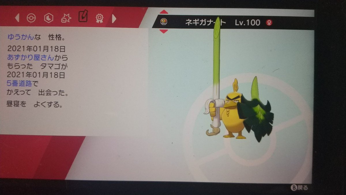 雨雲 昨日生まれた肝っ玉ネギガナイト色違い ポケモン剣盾
