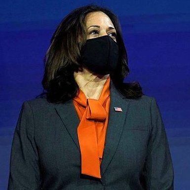 In honor of our first female Vice President,  @closethegapCA presents: Kamala Harris as feminist books, a thread: