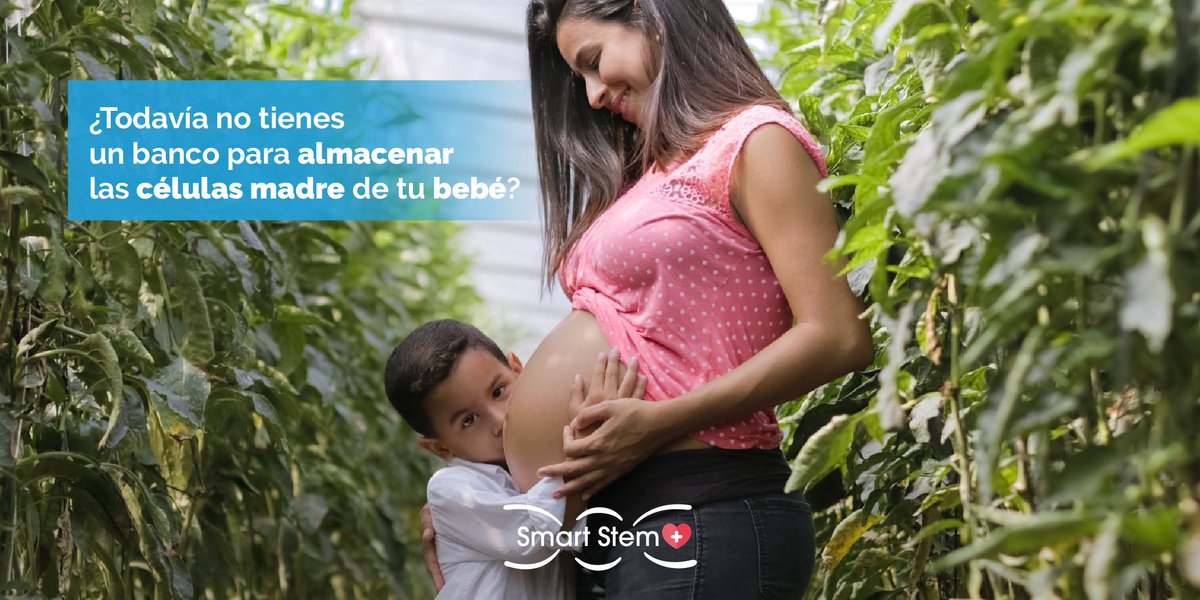 mysmartstemplus's tweet image. 𝐍𝐨𝐬𝐨𝐭𝐫𝐨𝐬 𝐭𝐞 𝐚𝐲𝐮𝐝𝐚𝐦𝐨𝐬 𝐚 𝐮𝐛𝐢𝐜𝐚𝐫𝐥𝐨!🧐⁣
⁣Deja tu correo electrónico o tu teléfono con el código de área de tu país y te ayudaremos a ubicar las opciones de banco de almacenamiento de células madres más cercanos a tu residencia⁣
⁣📸 Richard Jaimes