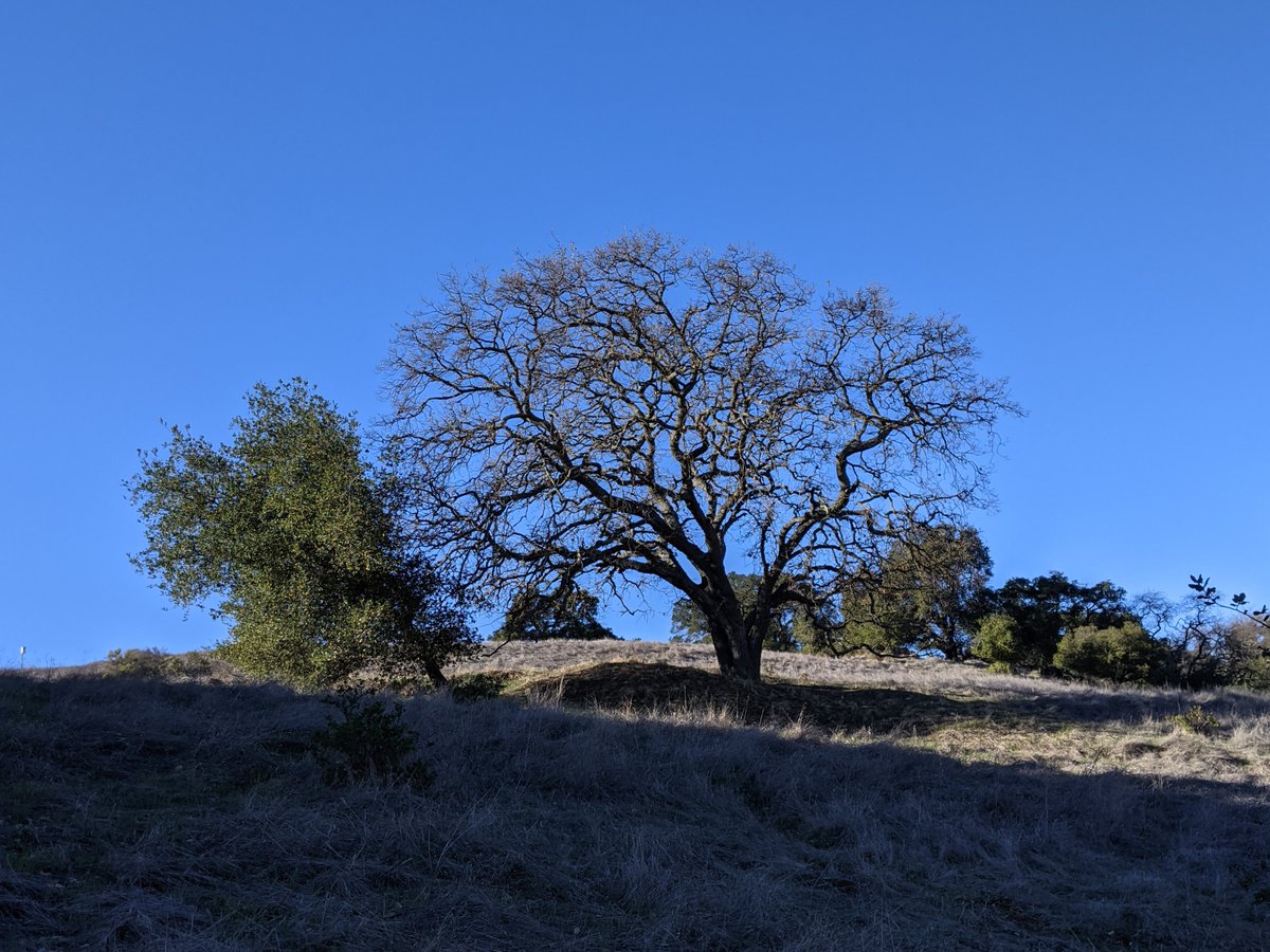 Save Our Trails (@sot_scc) on Twitter photo Santa Clara County parks and open spaces have so much variety -- you can climb a mountain, choose a trail with some ups and some downs, or enjoy a walk without elevation gain, sometimes all in the same park! Santa Teresa County Park has some of everything.
<a href="/ridgetrail/">Bay Area Ridge Trail</a> Santa Clara County parks and open spaces have so much variety -- you can climb a mountain, choose a trail with some ups and some downs, or enjoy a walk without elevation gain, sometimes all in the same park! Santa Teresa County Park has some of everything.
<a href="/ridgetrail/">Bay Area Ridge Trail</a>