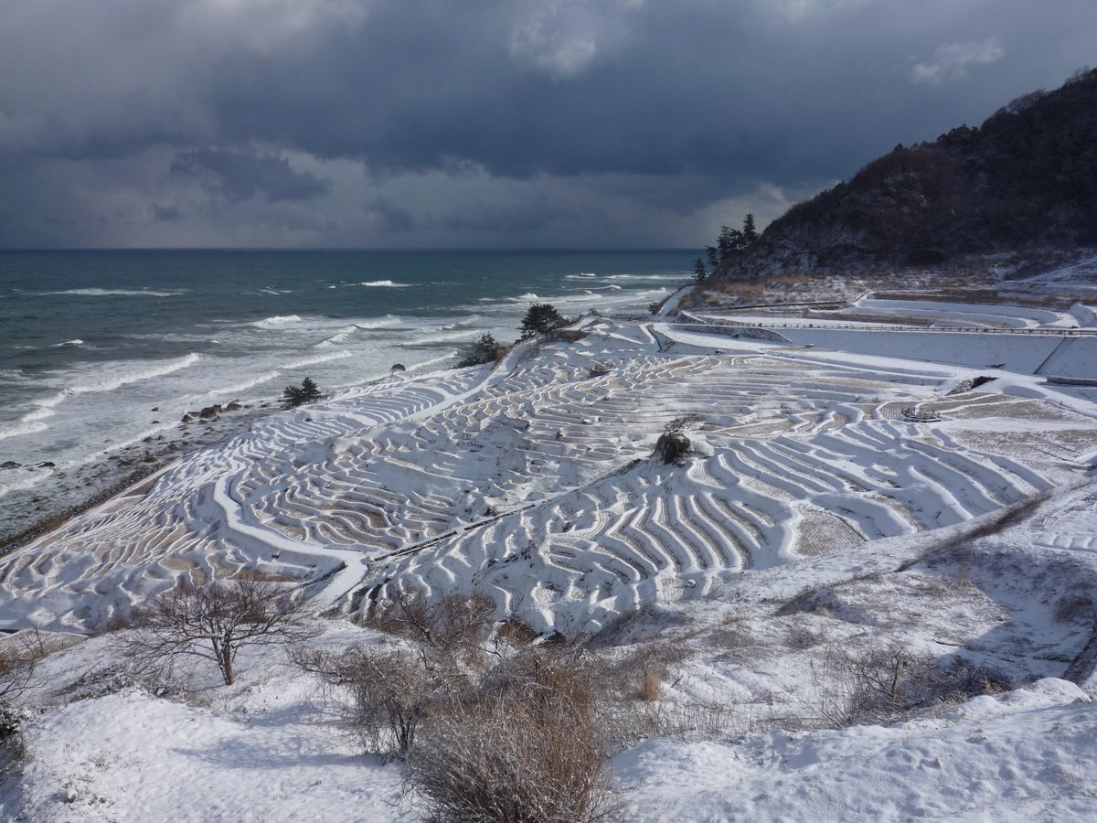 能登デスク 能登の旅案内 公式 على تويتر 能登半島 白米千枚田 雪景色 みなさんに見てほしい 春夏秋冬色んな顔を見せてくれる千枚田 雪で埋もれた棚田も最高に素敵 奥には荒れる海 空は冬空 広い心にさせてくれる場所です 能登半島の素敵写真 写真