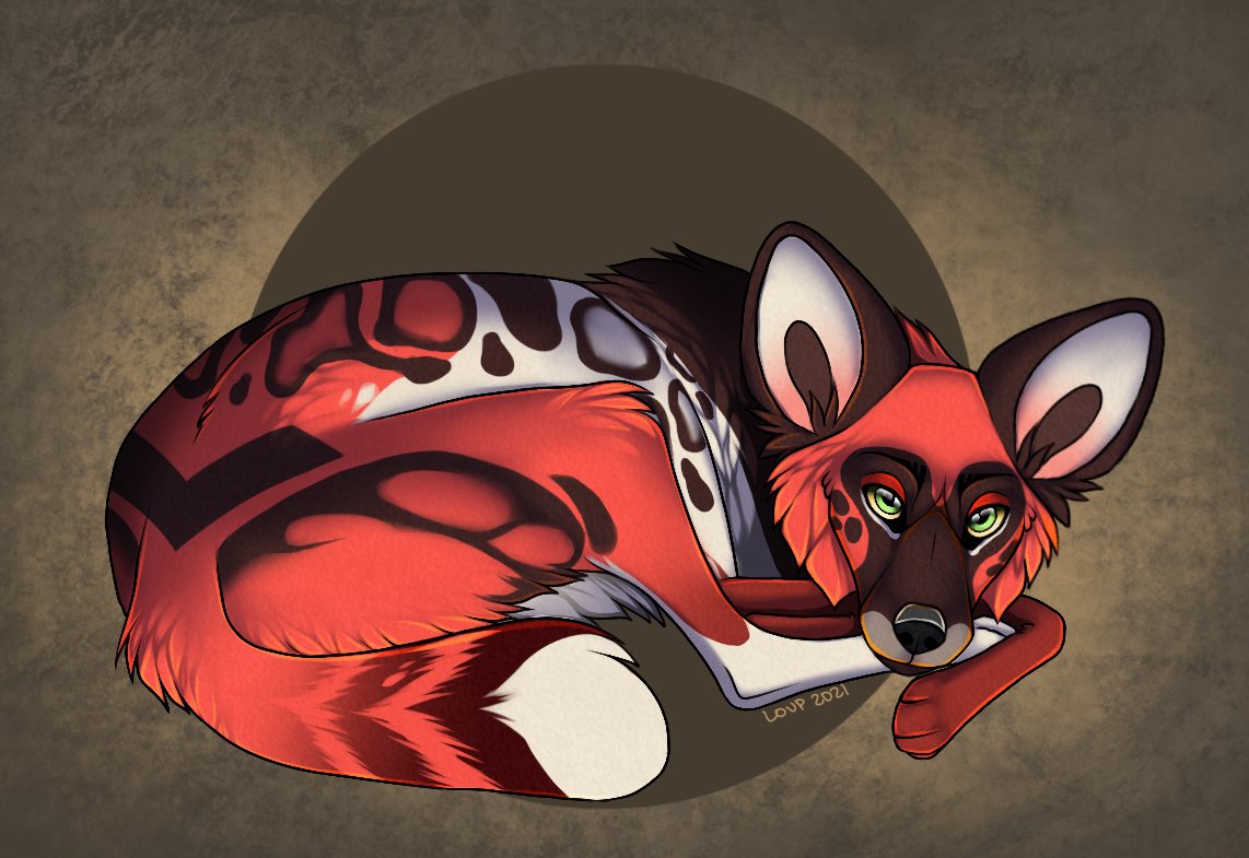 Foolishdingo's tweet photo. Commission for a homie β€οΈ #awd #Africanwilddog #commission #digitalart #furry #furryart #furryfandom #procreate #wolfhome https://t.co/W7aFOk8shw