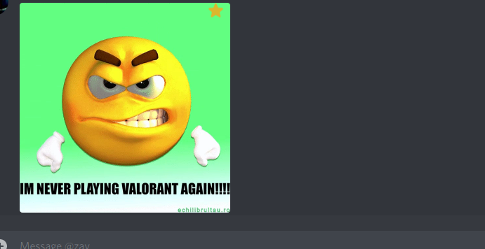 biggiegamers's tweet photo. me when I lose a valorant game🍆🍔🪴 https://t.co/2WfESyHbjy